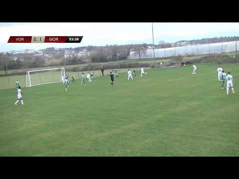 Friendly  FC Vorskla Poltava   FC Gorodeya - 1:1