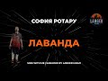 СОФИЯ РОТАРУ ЛАВАНДА КАРАОКЕ ВЕРСИЯ ОТ LANGER MIAMI