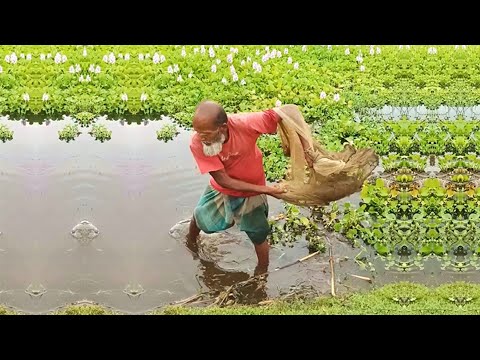 Amazing Fishing Video - Cast Net Fishing Video - Best Fishing Video