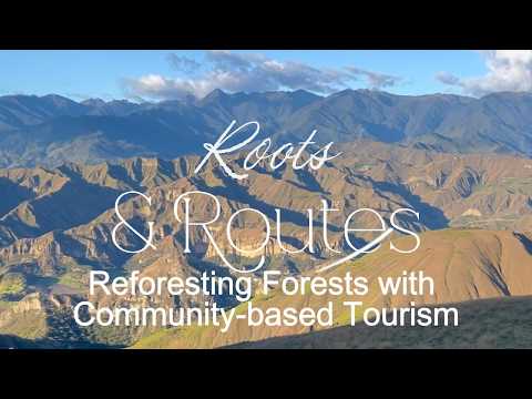 Roots & Routes: Restoring Andean forests with Community-based Tourism