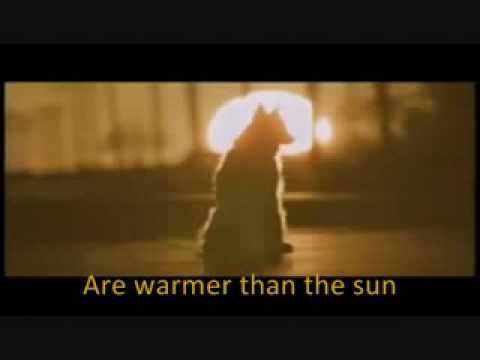 Warm