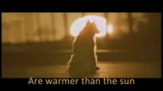 Lobo / Wolf  &quot;Warm&quot; de Claire Voyant