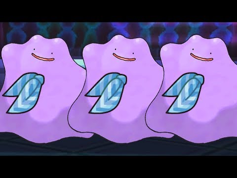 ONLY CHOICE SCARF DITTO TEAM!