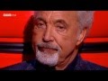 The Voice 2013 - Fields of Gold, Bronwen Lewis ...