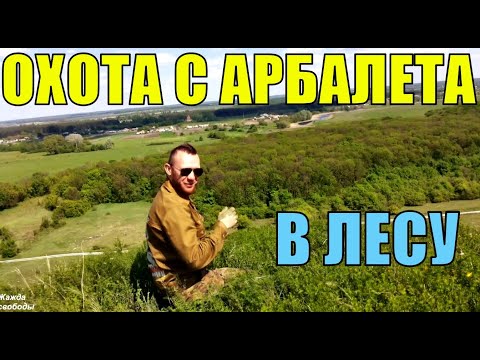 Поиск места для домика в лесу. Охота с мини арбалета:)