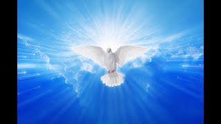 Michel Pépé : La Demeure Eternelle