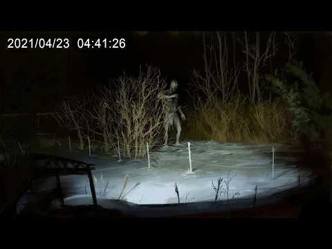 2 Hours of Most Disturbing Camping Encounters Caught on Camera Vol. 14