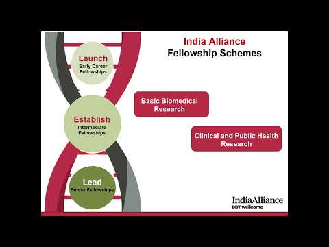 Early Career Fellowship Webinar Aug 2022