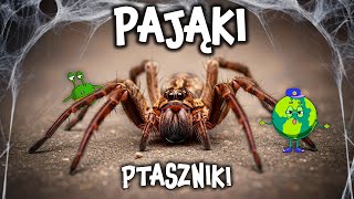 PAJĄKI 🕷️  Czy PTASZNIKI są Takie Straszne? Sprawdź! Film Edukacyjny dla Dzieci