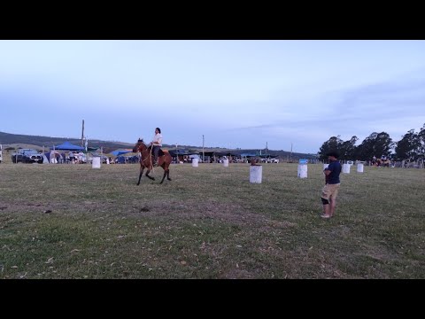 Fiesta Tapes y Tradición Lavalleja 🇺🇾 📸  Peña 🏆💯📢
