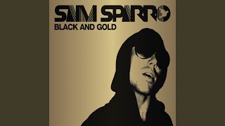 Black &amp; Gold (Radio Edit)