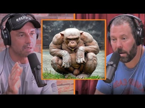 download lagu mp3 mp4 Buff Monkey, download mp3 Buff Monkey free download, download mp3 Buff Monkey
