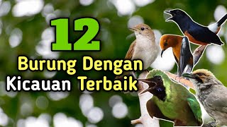 Download lagu List of the 12 best and most melodious songbirds in Indonesia mp3 Download lagu List of the 12 best and most melodious songbirds in Indonesia mp3
