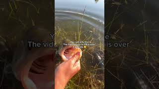 Download lagu You can only like if your pb is bigger  3lb mp3 Download lagu You can only like if your pb is bigger  3lb mp3