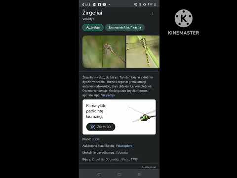 XX5K & DNDM - Po saulė nostalgia