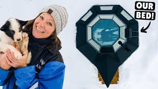 World's ONLY Glass TeePee &amp; BABY HUSKIES (tears of joy) - YouTube
