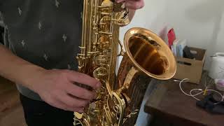 Video thumbnail for Yanagisawa AWO20 Alto Saxophone Demo by DC Sax