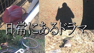 【世界は広い】近所でどっちが面白い動画撮ってこれるか！？