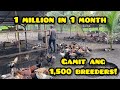 KAYANG KUMITA NG MILYON SA 1 MONTH GAMIT ANG 1 5K BREEDERS
