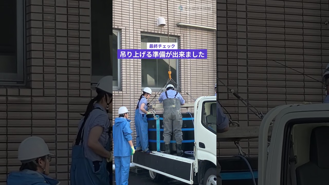 黒潮大水槽へマイワシ搬入  #名古屋港水族館 # shorts