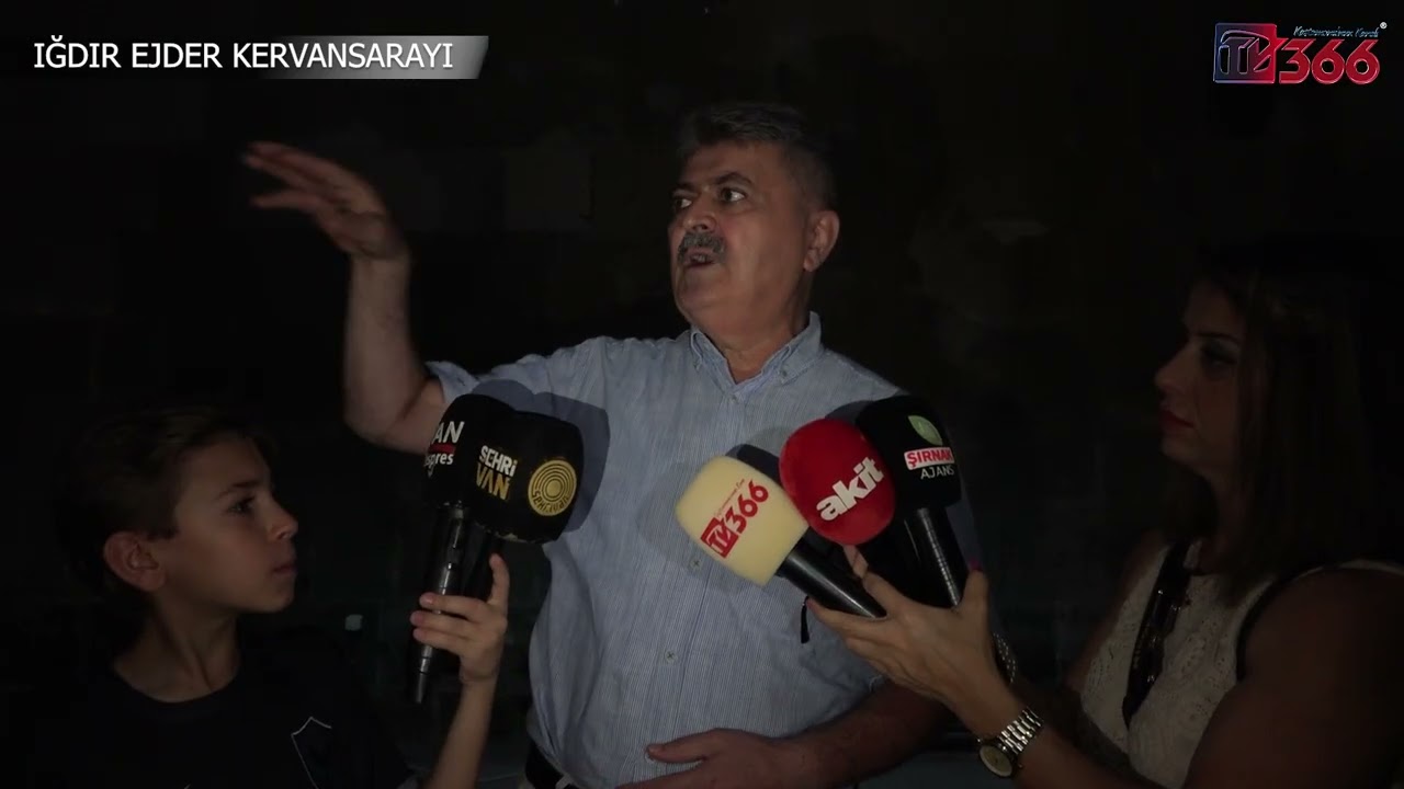 TV366
