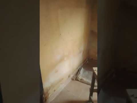 Spacious Mini Flat (Under Decking) – Olubodun Street, Mechanic Bus Stop Axis