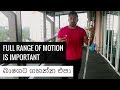 Joint and exercise range of motion ROM