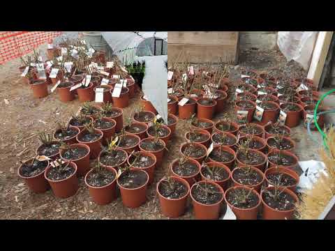 Azienda Agricola Manuflor