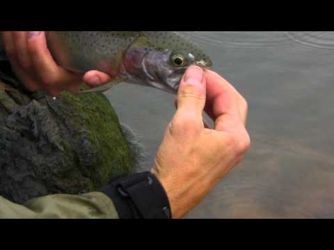 Feeding the Obsession-Iron Canyon 3/6/11