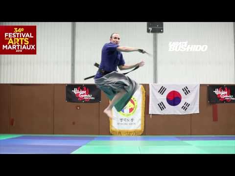 LE HAIDONG GUMDO AU 34E FESTIVAL DES ARTS MARTIAUX !