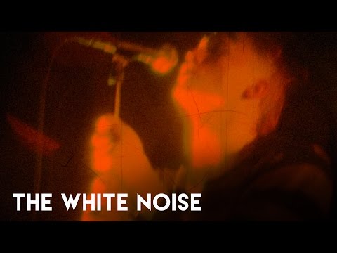 The White Noise - Bite Marks (Official Music Video)