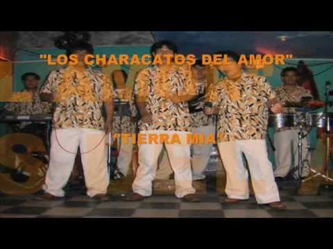 Los Characatos Del Amor - Tierra Mia