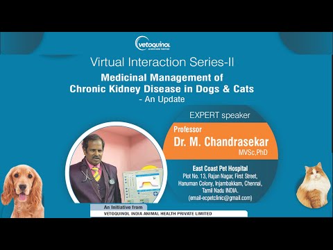 Medicinal Management of Chronic Kidney Disease in Dogs and Cats - An Update