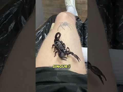 Un Singur Gest şi Apare un Tatuaj Real!