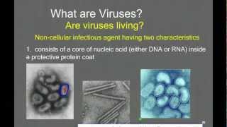 Introduction to Viruses and Viral Replication