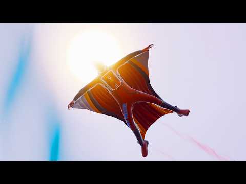 Pollo — Performance Evaluation | 31 Elims in 4K (No Commentary)