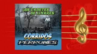 El Caballo Jovero - Los Cadetes de Linares