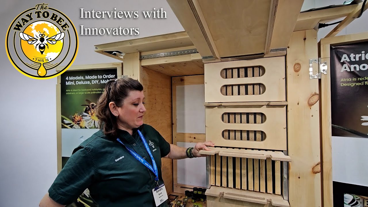 AZ style Beekeeping with Langstroth Frames, Insulated Building, by Apiverte