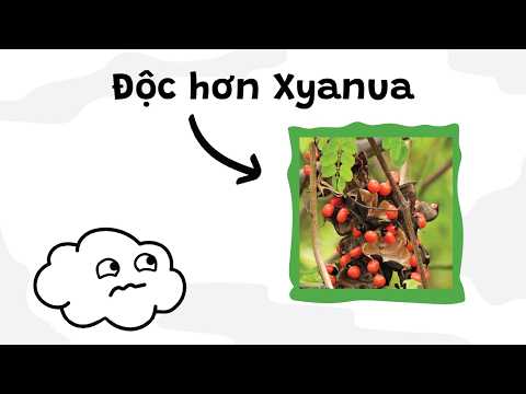 7 Plants You Should Not Touch