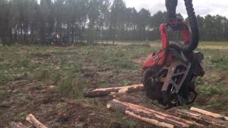 Komatsu 931XC harvester | Image 8 - Agroline