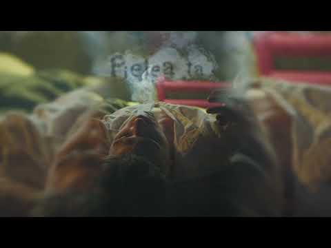 Cristian Porcari - Pielea Ta | Beia Remix (Official Visualizer)