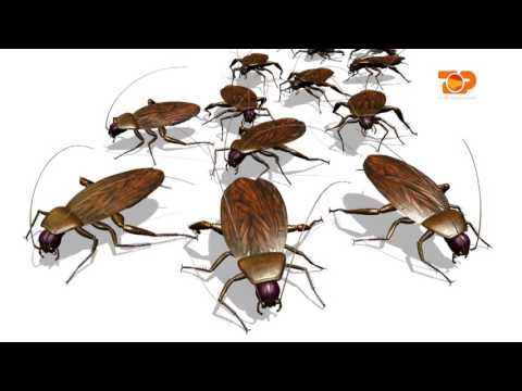 Ne Shtepine Tone, 22 Shtator 2016, Pjesa 5 - Top Channel Albania - Entertainment Show