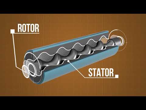 Rotor Stator Pumps explained by Putzparts24