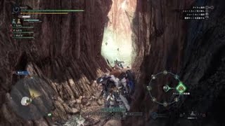モンスターハンターワールド：アイスボーン_20210111173016