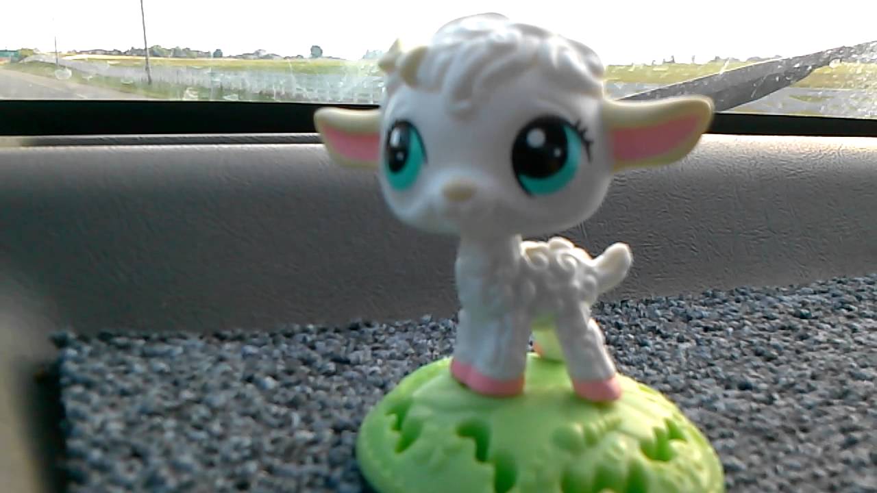 Watch video Sheep Bobblehead Now Sheep Bobblehead