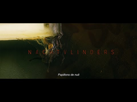 Papillons de nuit - Trailer
