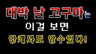 [텃밭농부.775]  대박 날 고구마를 미리 알수있는 방법 #고구마재배