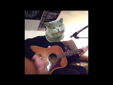 Laserboys - Türchen 10 - Kleine Katze, große Katze