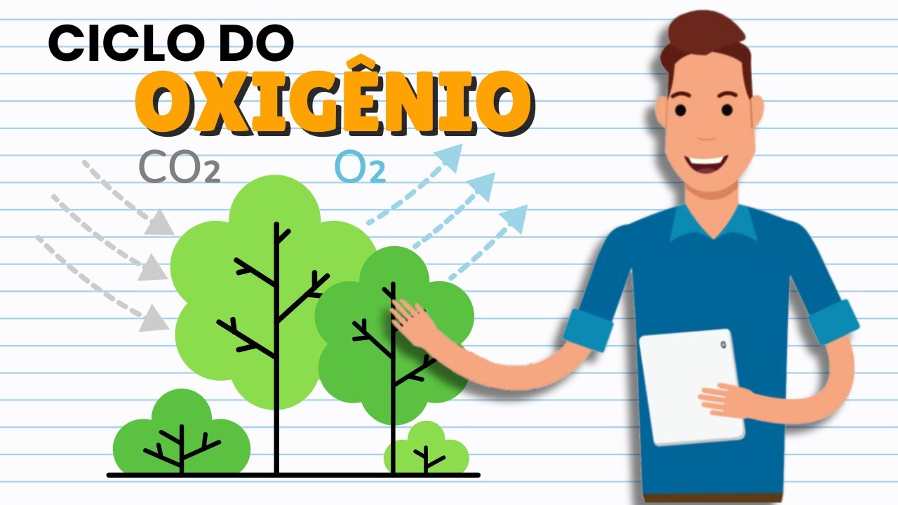 Resumo do CICLO DO OXIGÊNIO