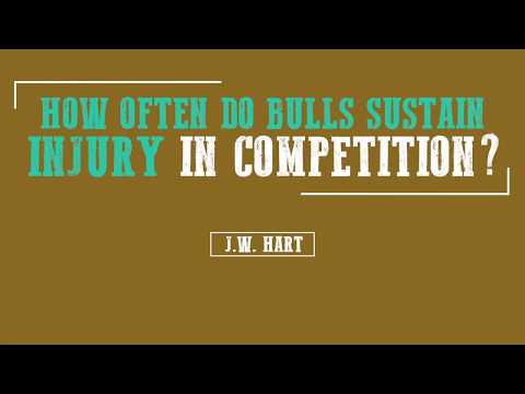 J.W. Hart: How Often Do Bulls Sustain Injury In Competition?